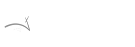 Federación Fútbol Castilla la Mancha - Visualización de